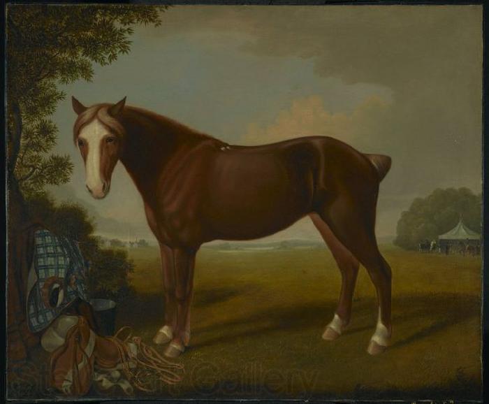 unknow artist Portrait of a Horse Spain oil painting art
